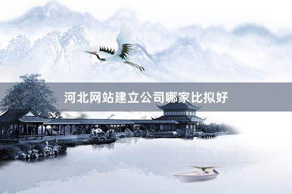 河北网站建立公司哪家比拟好